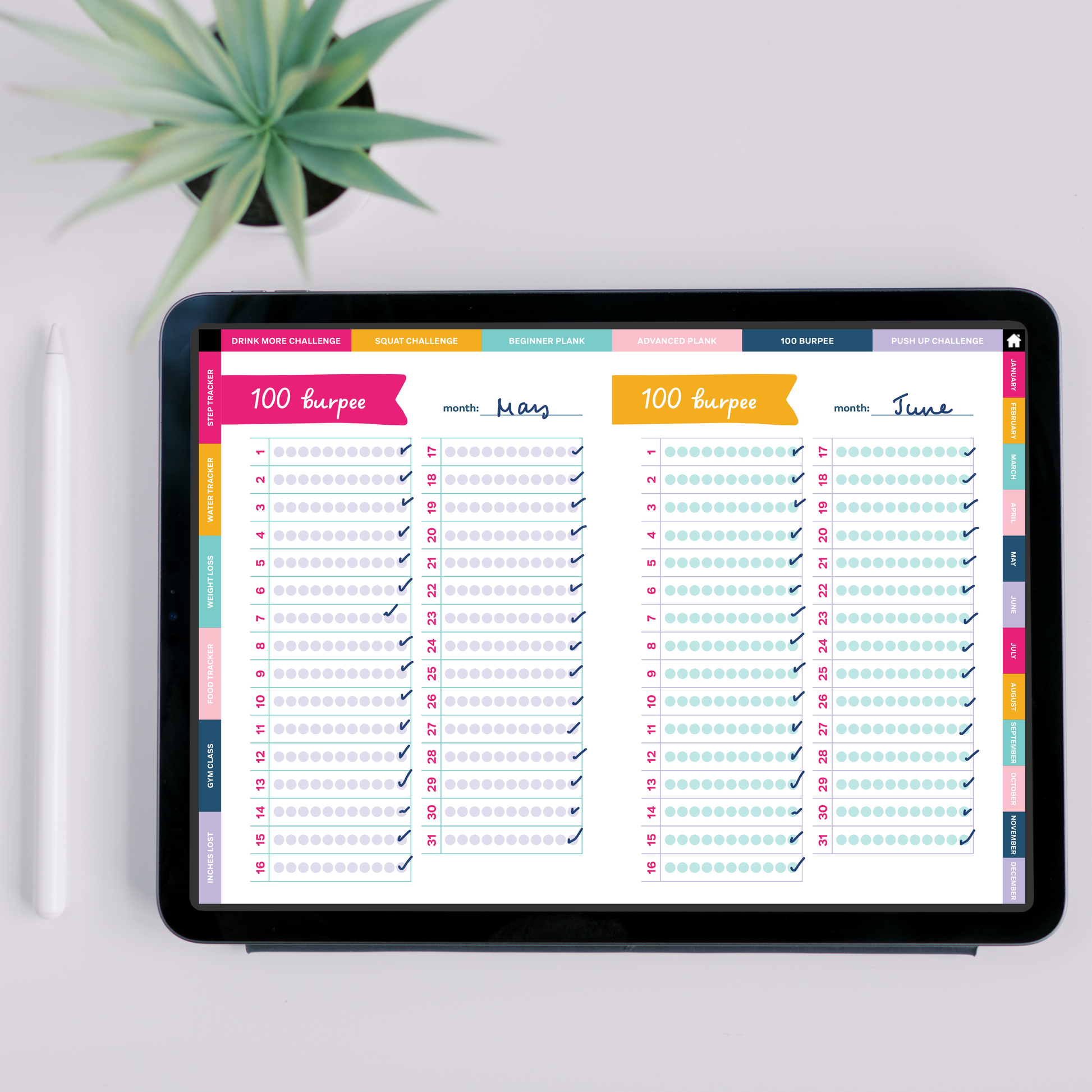 100 Burpee Challenge