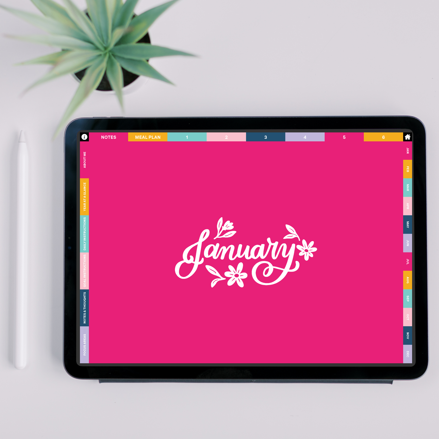 January divider page with a pink background and white flower illustrations