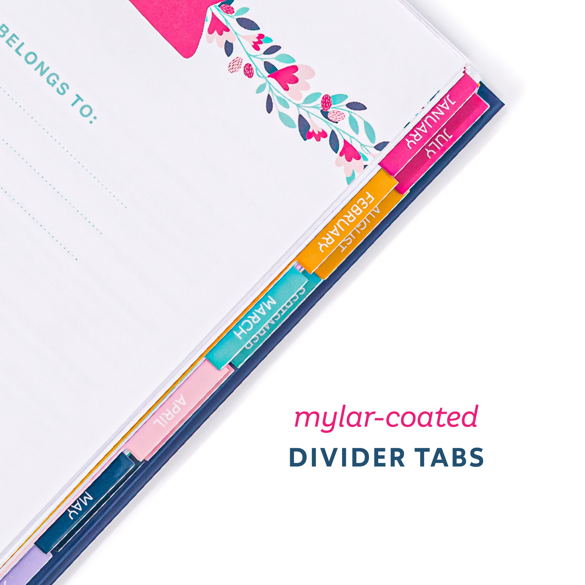 Colorful mylar-coated divider tabs 