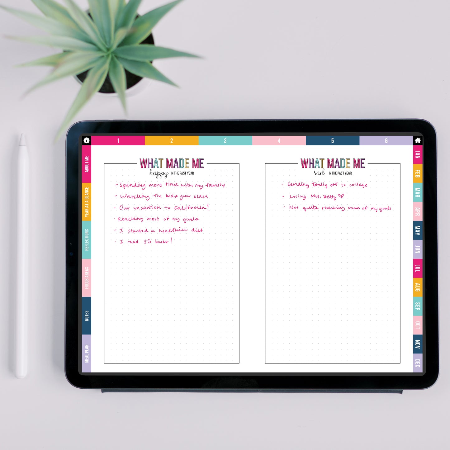 2025 Sweet Life Tablet Planner