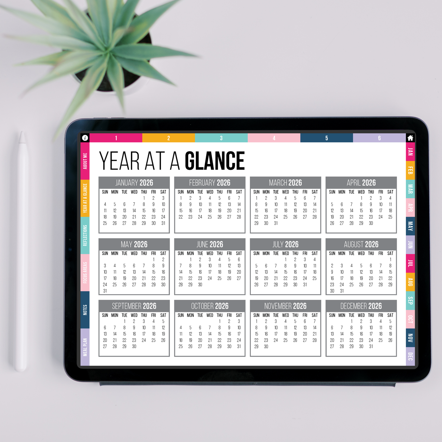 Year at a Glance on a tablet with a plant in the background