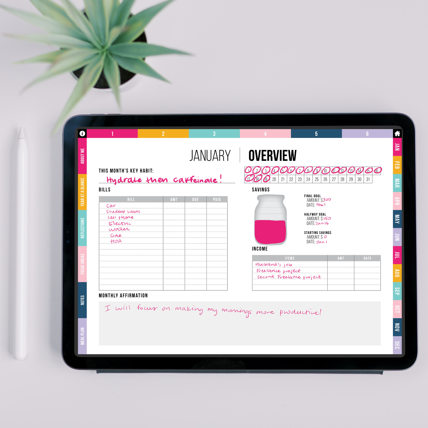 January overview page