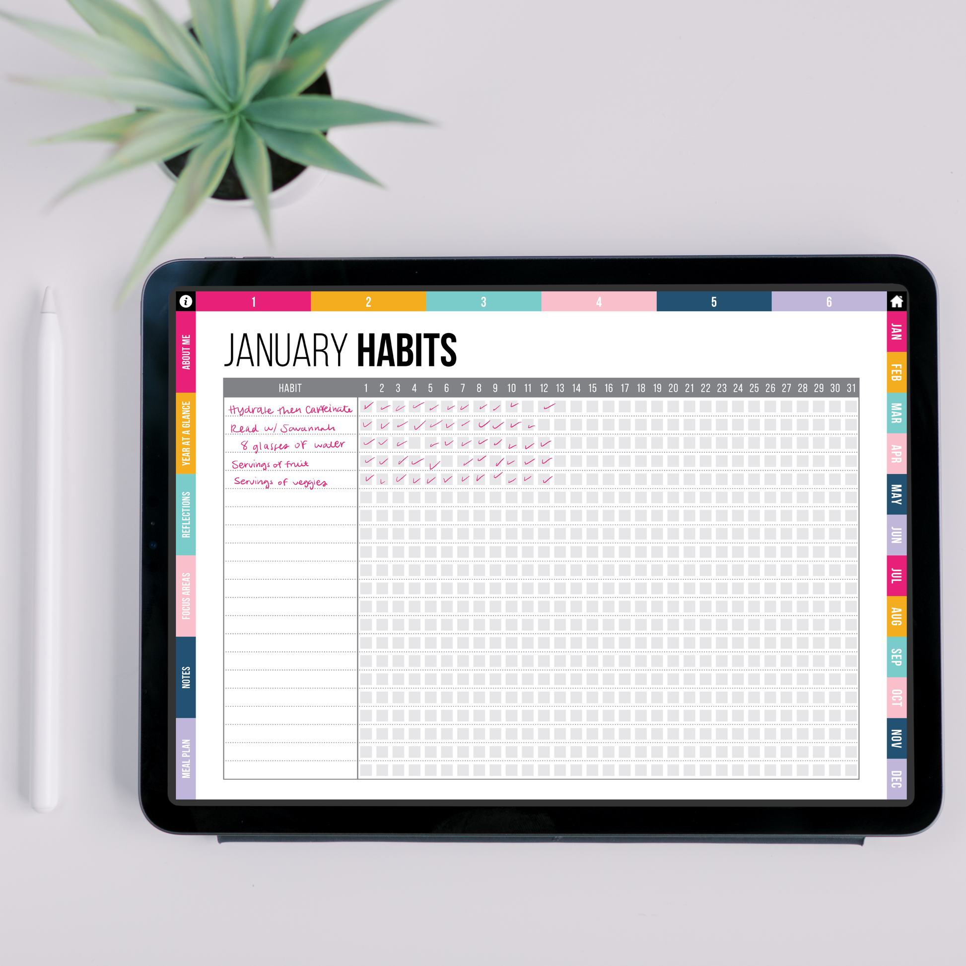 January habit tracking