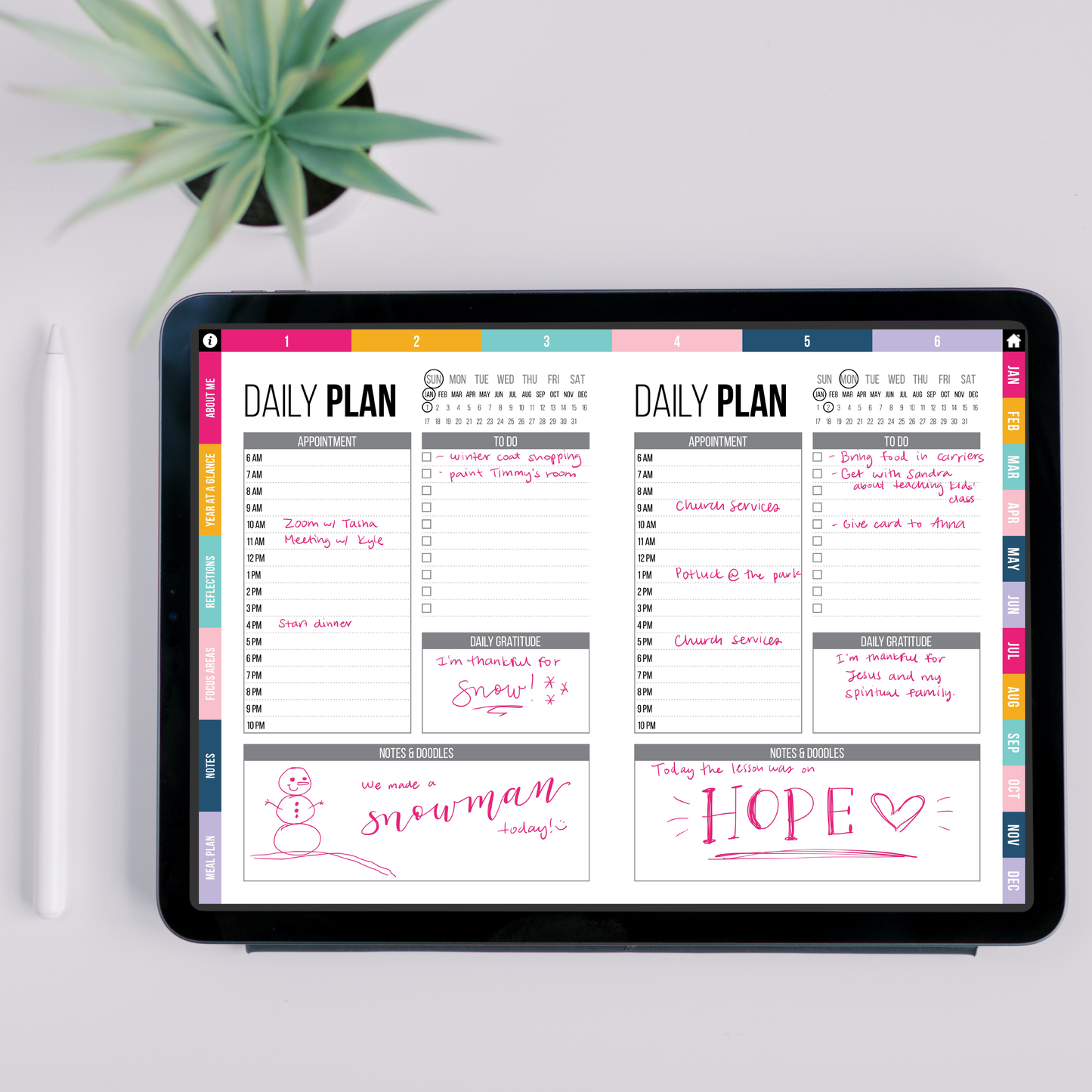 Daily plan pages